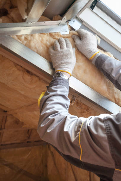 Best Commercial Insulation in Colesville, MD