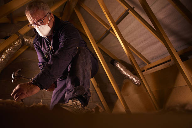Best Insulation Maintenance and Repair in Colesville, MD